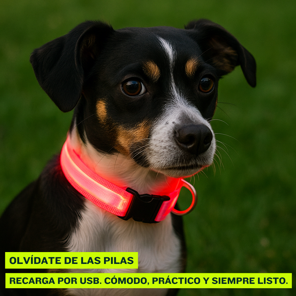 Collar LED Recargable con 3 modos de luz